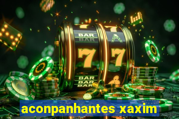 aconpanhantes xaxim