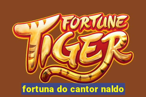 fortuna do cantor naldo