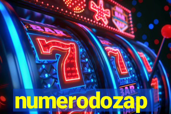 numerodozap